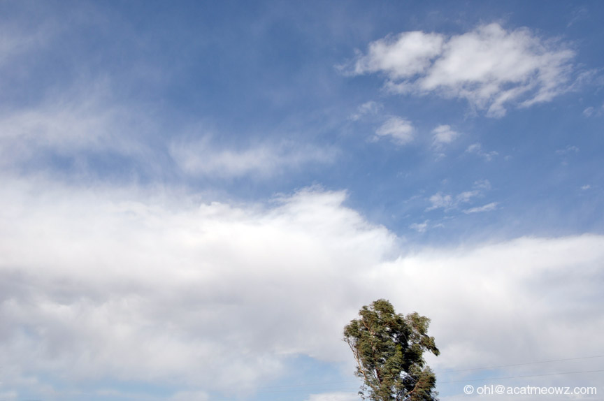 2010.05.02 0324p Firebird